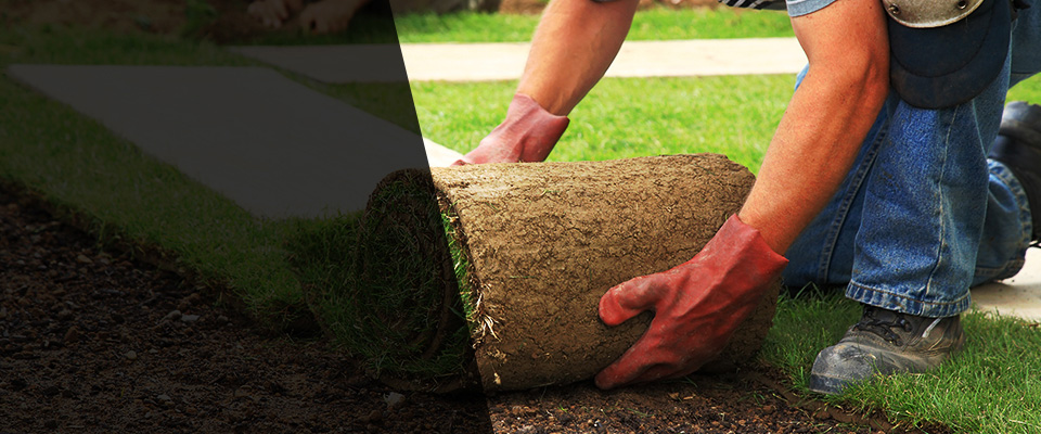 Beaverdam Landscapers